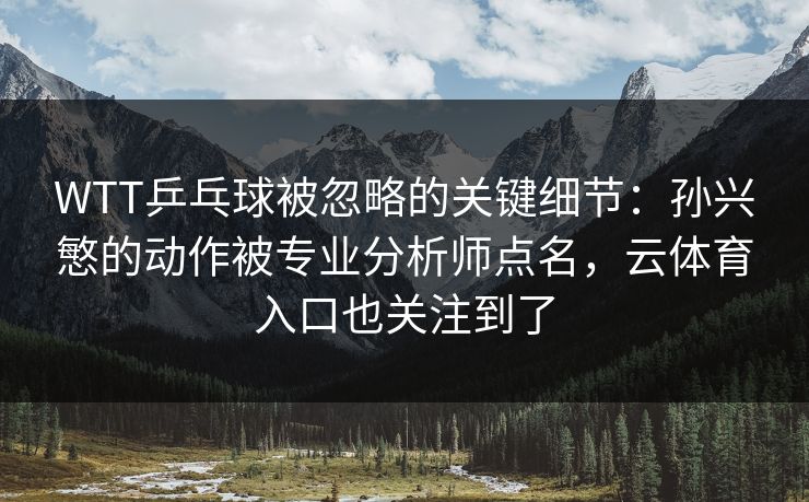 WTT乒乓球被忽略的关键细节：孙兴慜的动作被专业分析师点名，云体育入口也关注到了